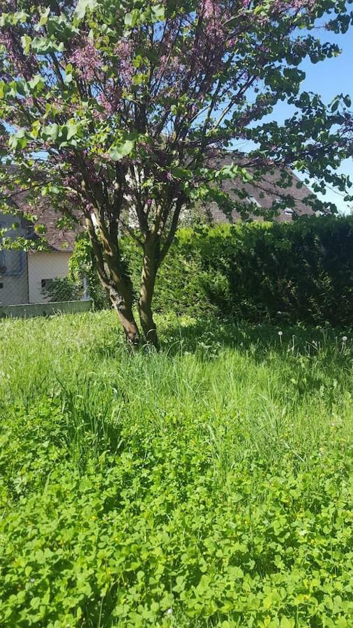 Vila Maison De Campagne A 1H20 De Paris Saint-Hilaire-les-Andresis Exteriér fotografie